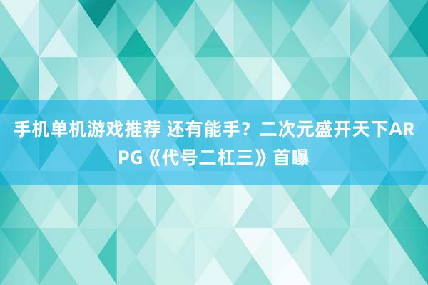 手机单机游戏推荐 还有能手？二次元盛开天下ARPG《代号二杠三》首曝