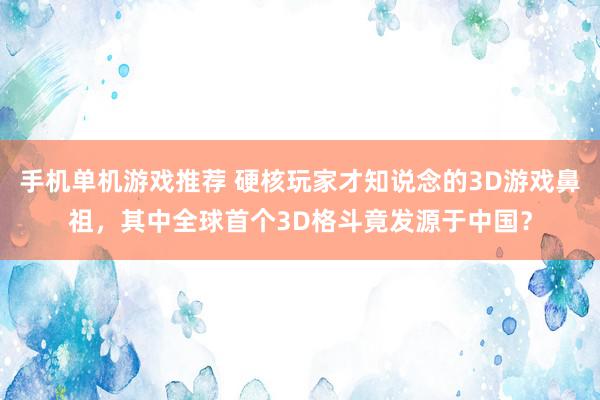 手机单机游戏推荐 硬核玩家才知说念的3D游戏鼻祖，其中全球首个3D格斗竟发源于中国？