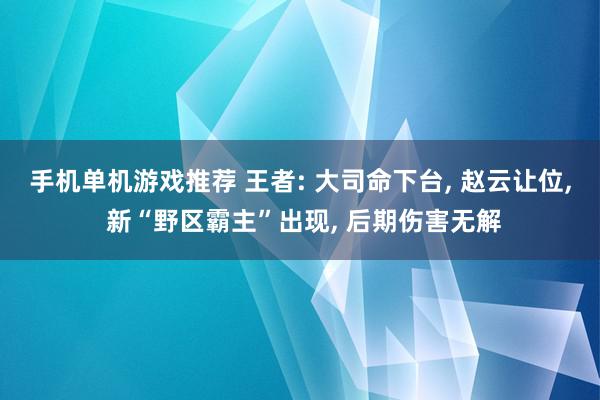 手机单机游戏推荐 王者: 大司命下台, 赵云让位, 新“野区霸主”出现, 后期伤害无解