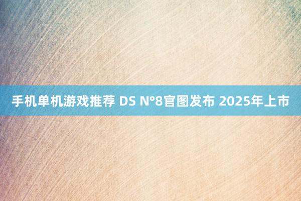 手机单机游戏推荐 DS N°8官图发布 2025年上市