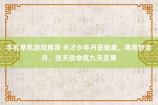 手机单机游戏推荐 天才少年丹田被废，得奥妙金丹，逆天改命筑九天至尊